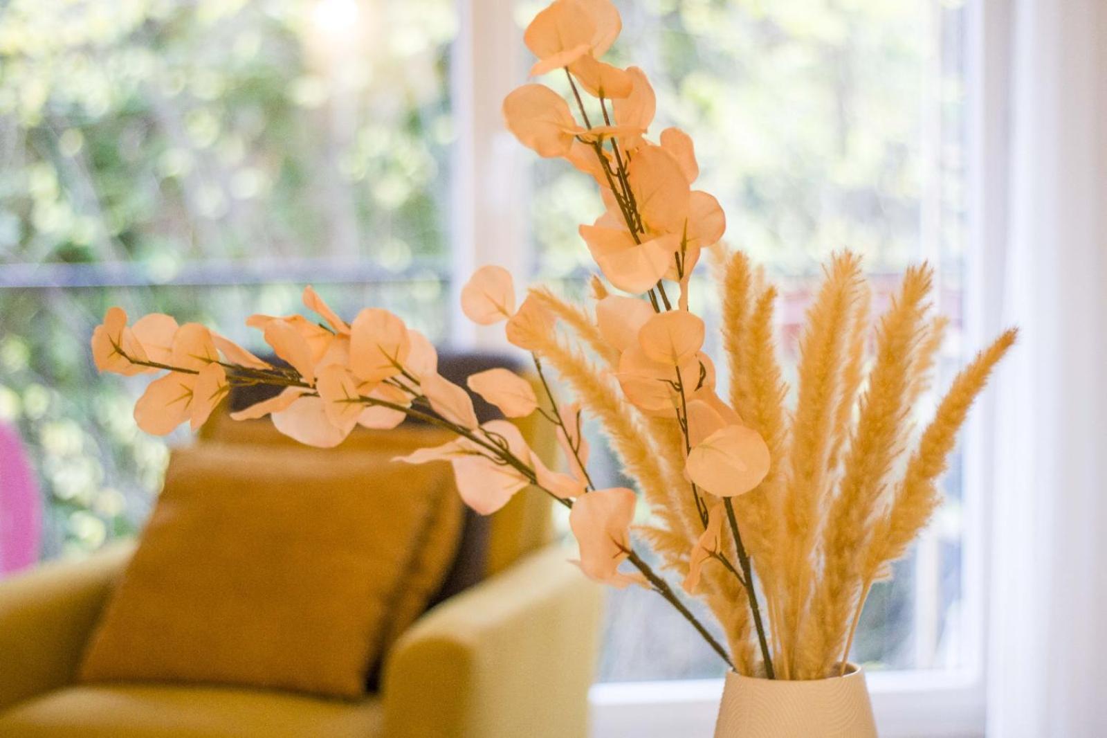 Appartement Cosy Thonon-les-Bains Esterno foto